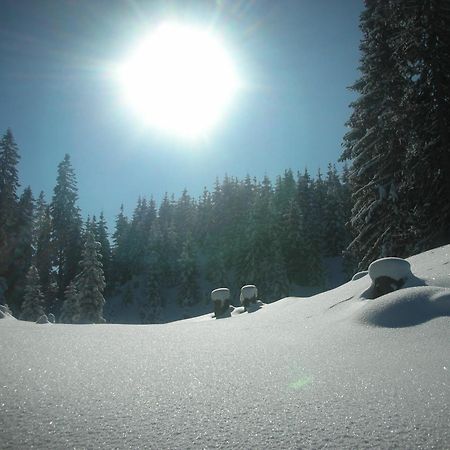Ferienparadies Taxen Sankt Veit im Pongau Bagian luar foto