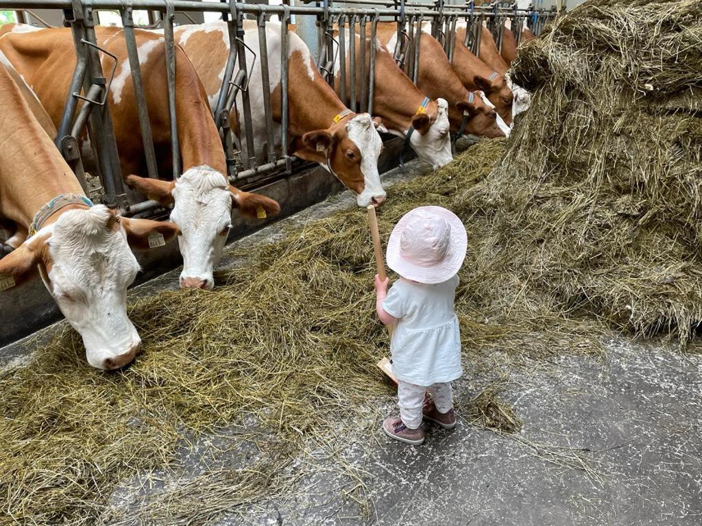 Ferienparadies Taxen Sankt Veit im Pongau Bagian luar foto