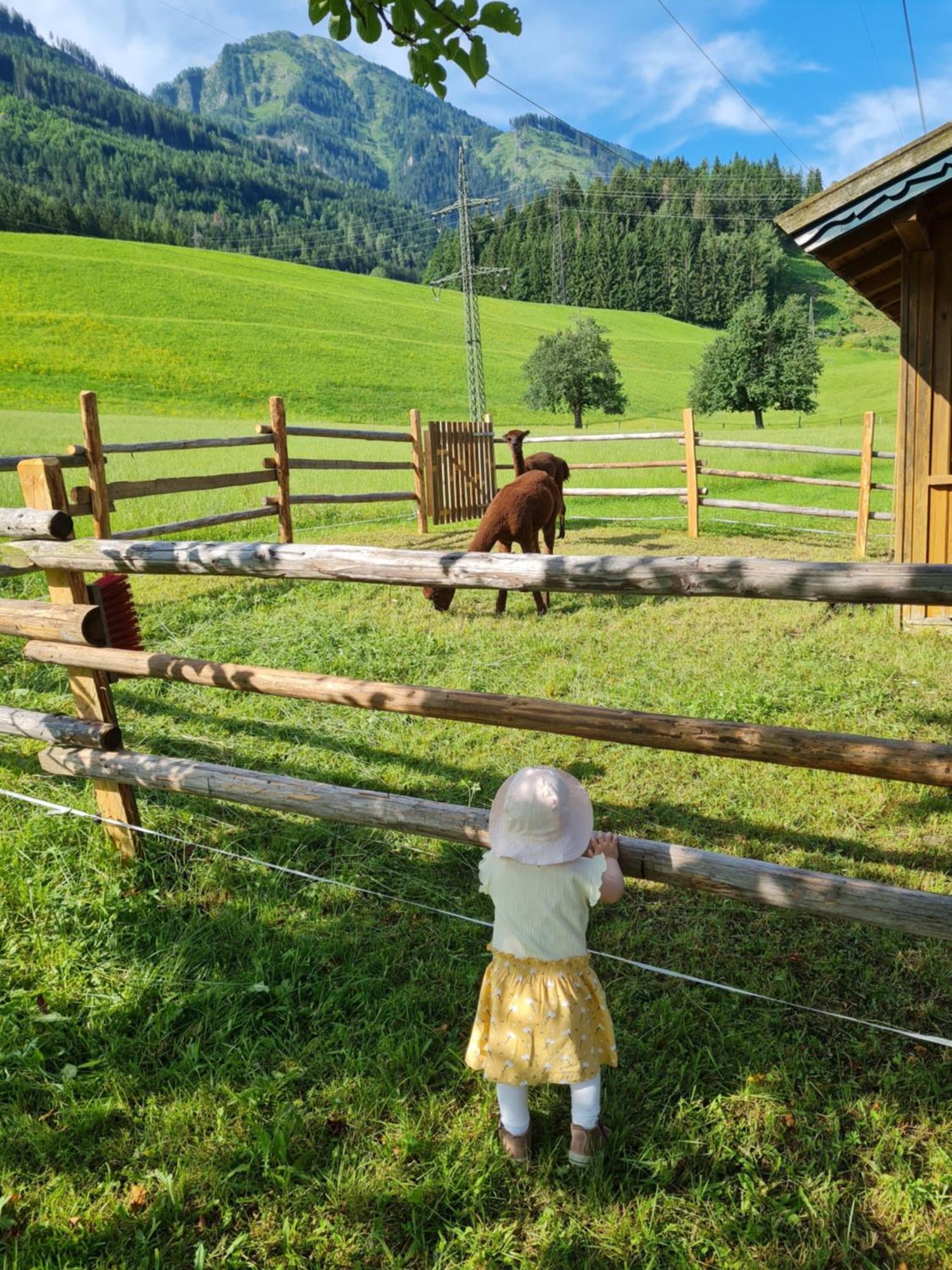 Ferienparadies Taxen Sankt Veit im Pongau Bagian luar foto
