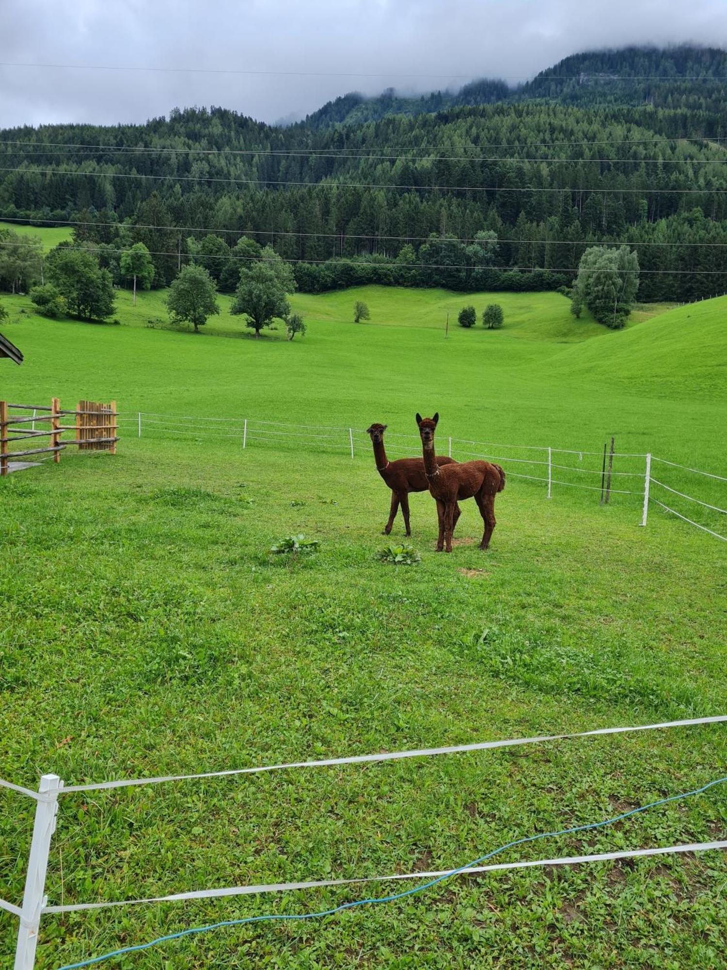 Ferienparadies Taxen Sankt Veit im Pongau Bagian luar foto