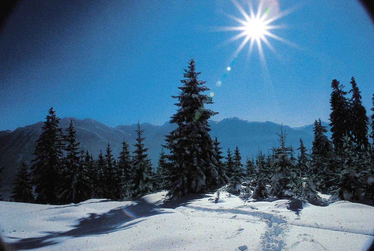 Ferienparadies Taxen Sankt Veit im Pongau Bagian luar foto