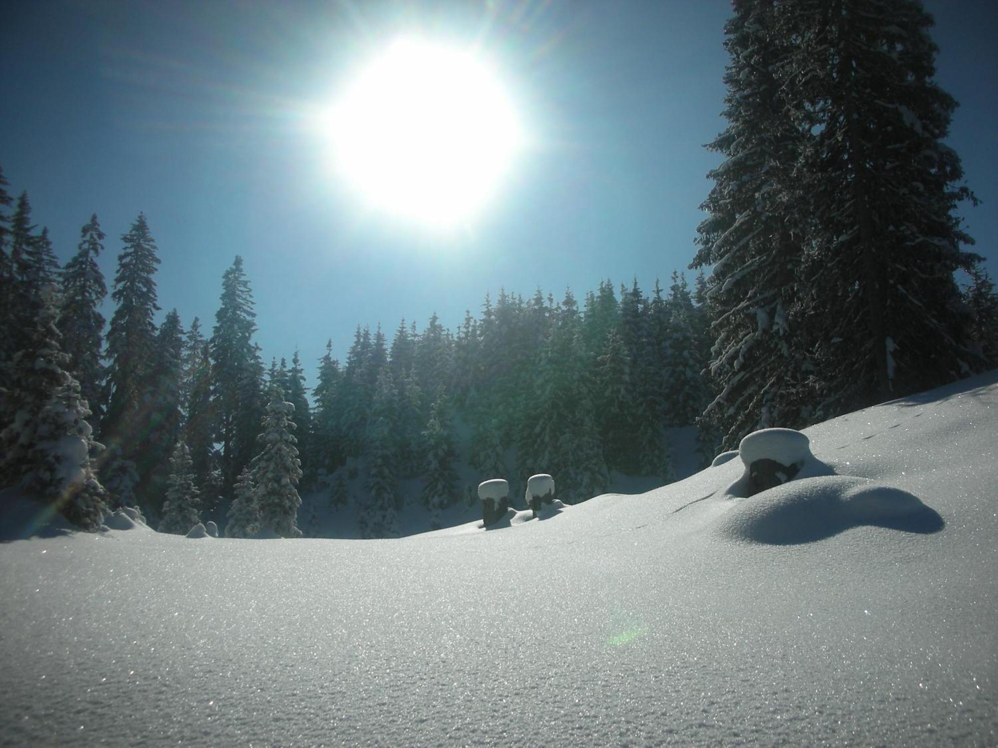 Ferienparadies Taxen Sankt Veit im Pongau Bagian luar foto
