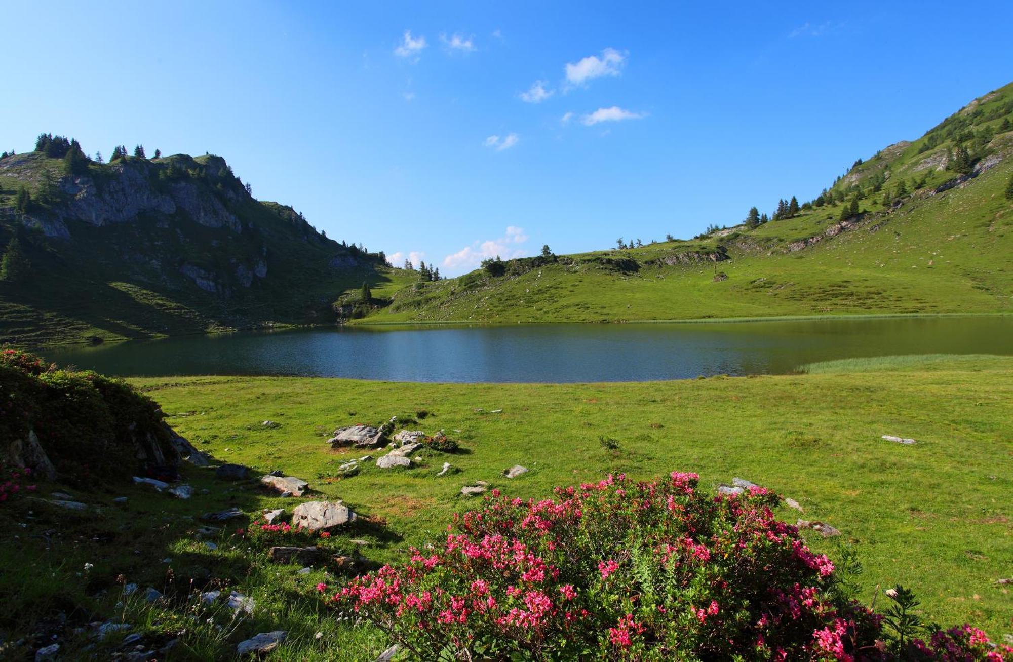 Ferienparadies Taxen Sankt Veit im Pongau Bagian luar foto