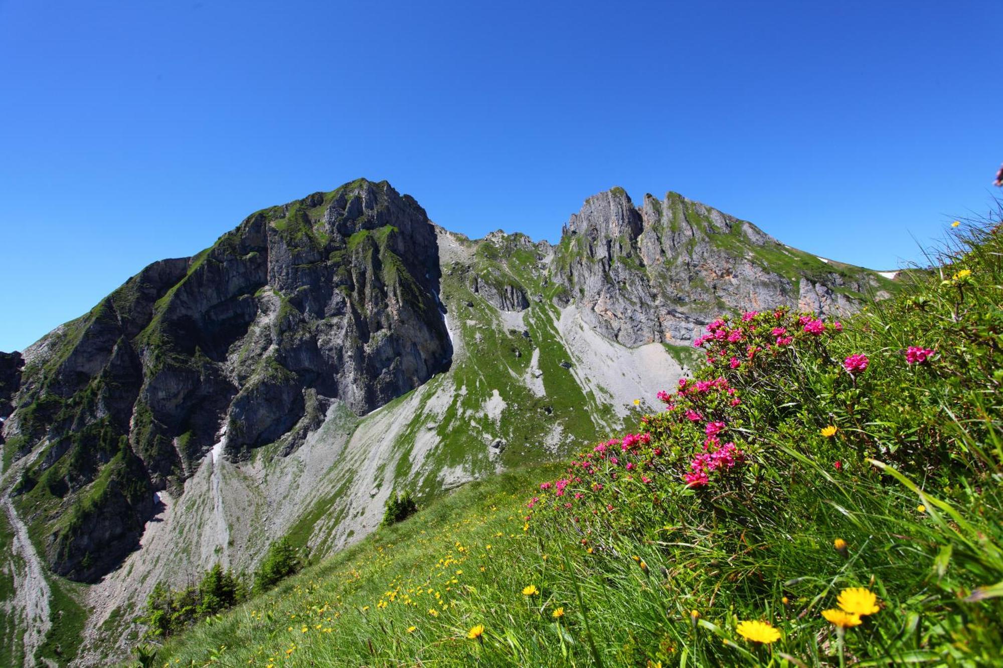Ferienparadies Taxen Sankt Veit im Pongau Bagian luar foto