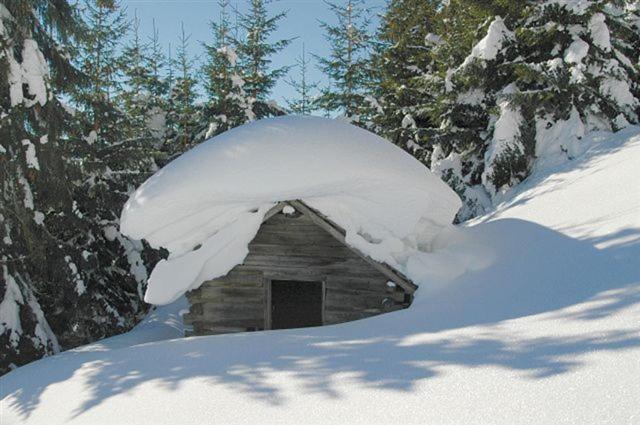 Ferienparadies Taxen Sankt Veit im Pongau Bagian luar foto